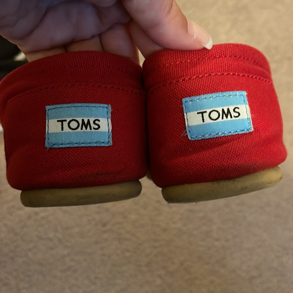 Red Toms - Picture 4 of 5
